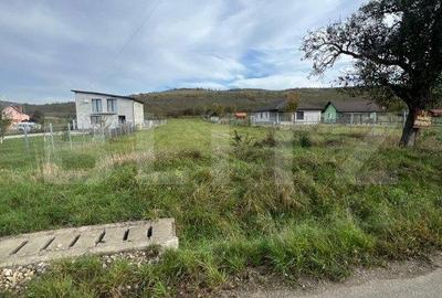 Spațiu comercial, în Petriș - 2