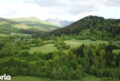 Teren de 4000 mp, în Babarunca - 6