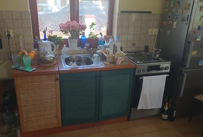 Vând vilă deosebită în Dumbrăvița, Timiș Vând vilă deosebită în Dumbrăvița, Timiș - 11