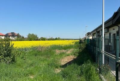 Teren intravilan 26.300 mp Saftica Balotesti - PUZ în lucru - 15