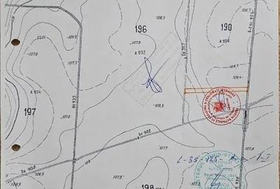Teren agricol extravilan de 14000 mp, în Periș - 6