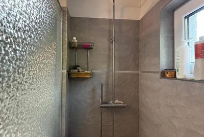 Casa P+E+M Mihaesti-Munteni --  Mihaesti, Valcea - 53