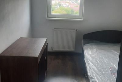 Apartament cu 2 camere decomandat în Dosu Bricii - 2