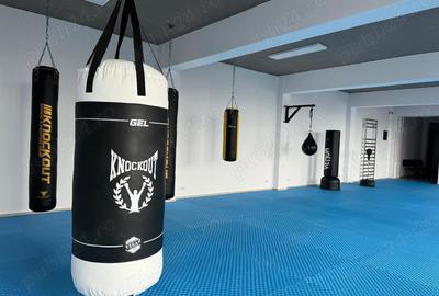 Inchiriere Colaborare sala de sport - Popesti Leordeni - 10