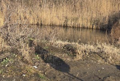 Spațiu comercial, în Rădăcinești - 3