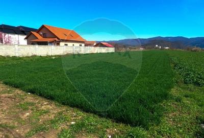 Teren Hateg / Strada Raul Mare ,jud Hunedoara - 3