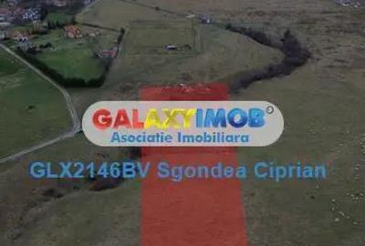 Teren de 1093 mp, în Tohanu Nou - 3