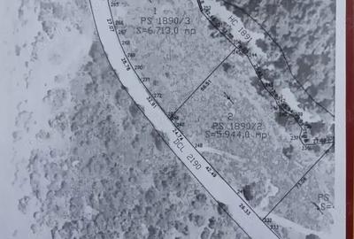 Teren de 12657 mp, în Cheia - 10