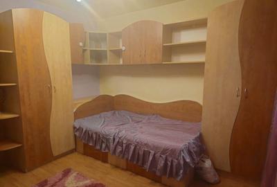 Apartament de inchiriat, 2 camere, 50 mp, Brazda lui Novac - 3