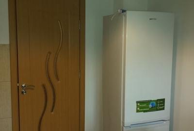 Apartament cu 2 camere semidecomandat, mobilat în Teiul Doamnei - 9