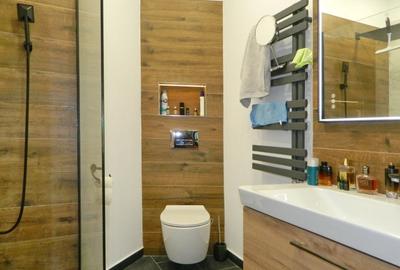 Apartament in  Vila , 4 camere + teren 232 mp - 11