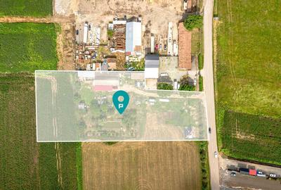 Teren de 5500 mp, în Sânleani - 8