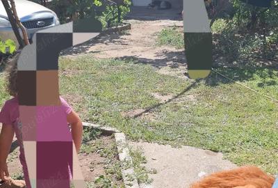 Casă cu 5 camere în Ciupercenii Noi - 8