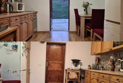 Casă individuală cu 2 camere cu Teren 1500 Mp în Paleu - 3