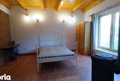 Casă cu 3 camere cu Teren 2135 Mp în Petrești - 19