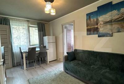 Apartament cu 2 camere semidecomandat în Dâmbu Pietros - 5