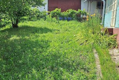 Casă cu 2 camere cu Teren 6000 Mp în Tioltiur - 4