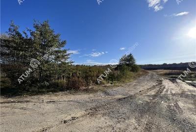 Teren intravilan 5000 mp in zona industriala Selimbar din Sibiu - 4