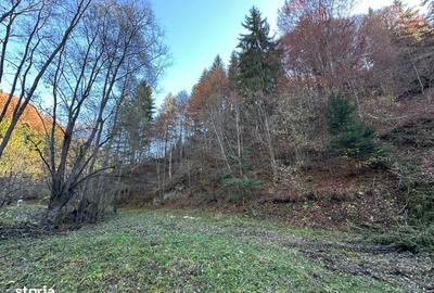 Teren de 2882 mp, în Dâmbovicioara - 15