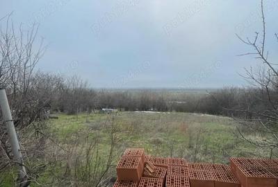 Casă cu Teren 1418 Mp în Băneasa - 2