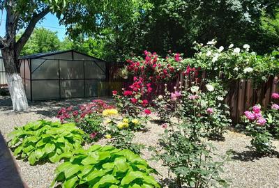 Casă cu 5 camere cu Teren 500 Mp în Movilița - 9