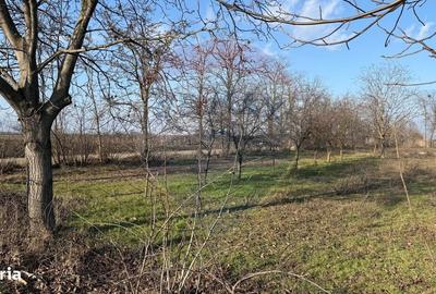 Teren de 2300 mp, în Vânători - 1