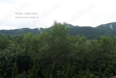 Apartament la vila Tocile Sadu - 5