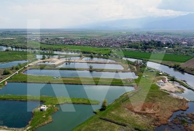 Teren Extravilan cu lac - Investitie in Natura si Agrement | 35.251 mp - 7
