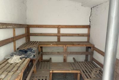 Casa-langa studiourile Buftea, 2 constructii, curte cu pomi, 2500mp, langa lac - 20