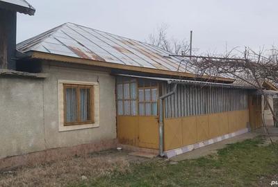 Vand casa cu curte in jud Calara?i - 3