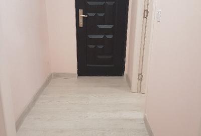 Apartament doua camere, etaj 2, renovat, liber, Narcisa - 13