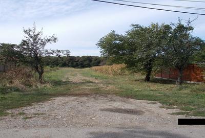 Teren intravilan ,Crevedia - 3