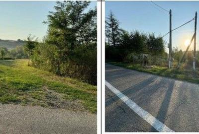 Teren de 2500 mp, în Români - 2