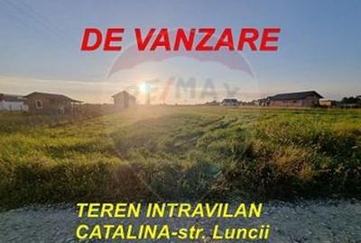NOU PE PIATA - Teren 3,023mp Catalina - Strada Luncii - 6