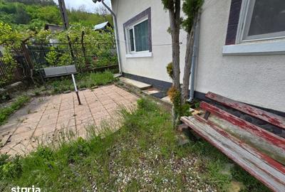 Casă cu 4 camere cu Teren 1210 Mp în Coșești - 3
