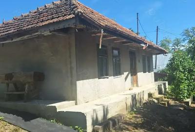 Casă cu 2 camere cu Teren 3100 Mp în Central - 2