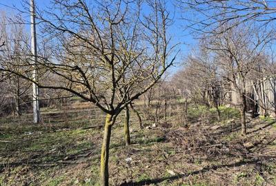 Casă în Brâncoveanca - 3