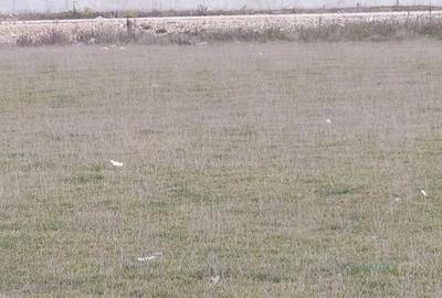 Spațiu comercial, în Bartolomeu - 2