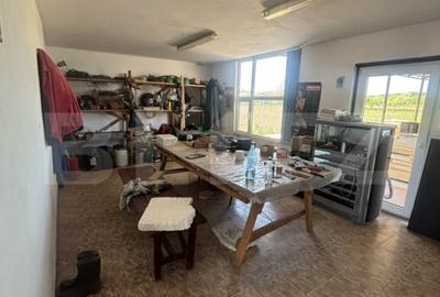 Spațiu comercial, de 1,019 mp, în Românași - 6