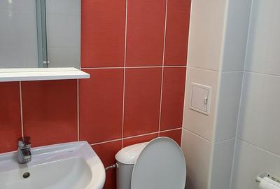 Garsonieră semidecomandată, mobilată în Theodor Pallady - 2