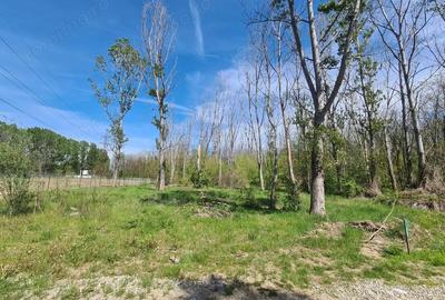 Teren de 5300 mp, în Agrement Ostroveni - 5