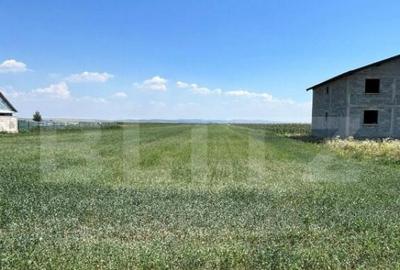 Oportunitate de investitie!!! Teren intravilan, 9782 mp, zon - 3