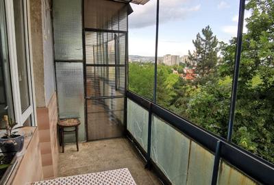 Apartament cu 2 camere semidecomandat în Beba Veche - 4