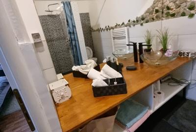 Casa de Vanzare, 300 mp, 1000 mp teren , Gruia , Zona strazii Romuls Vuia - 3