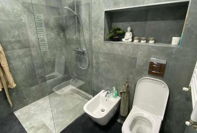 Garoniera in apropiere de Iulius Mall - 3