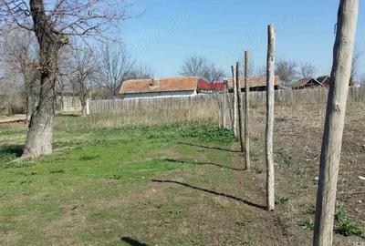 2(doua) teren intravilan in localitatea Giurgi?a, judetul Dolj. - 10