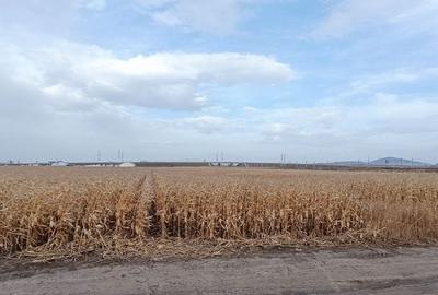 Teren intravilan industrial,str.Durau - 2