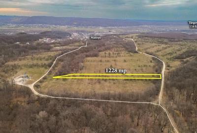 Teren de 1228 mp, în Mănești - 1