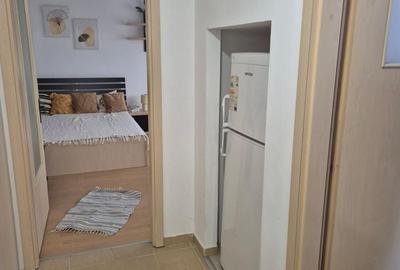 Garsoniera decomandata bloc 2009 Parcul Brancusi, Valea Ialomitei - 13