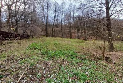 Resita, Teren Drept Intravilan, Langa Prau si Drum, 1308 Mp., 15 Euro Mp., Renk - 3